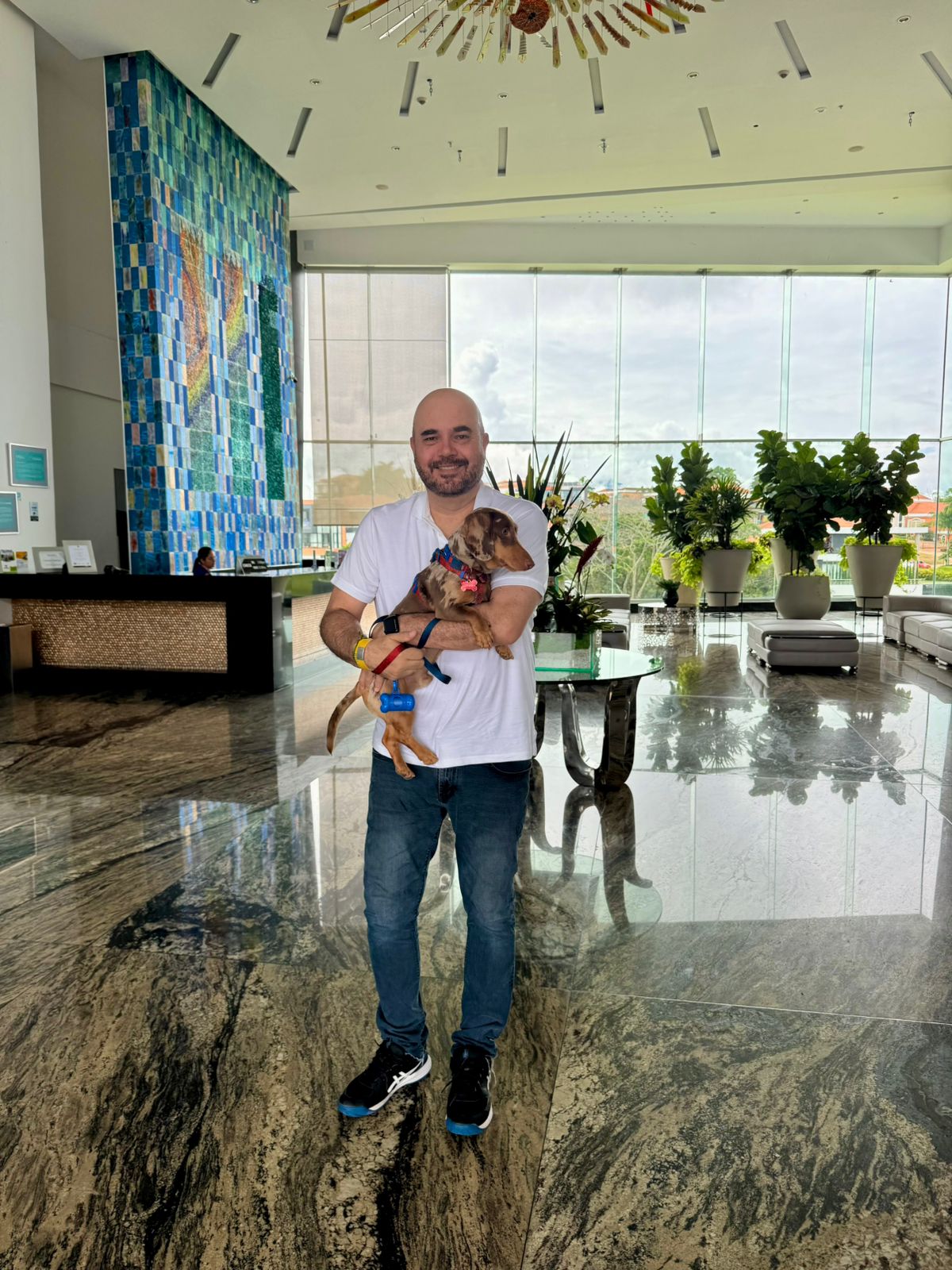 Turismo pet-friendly: