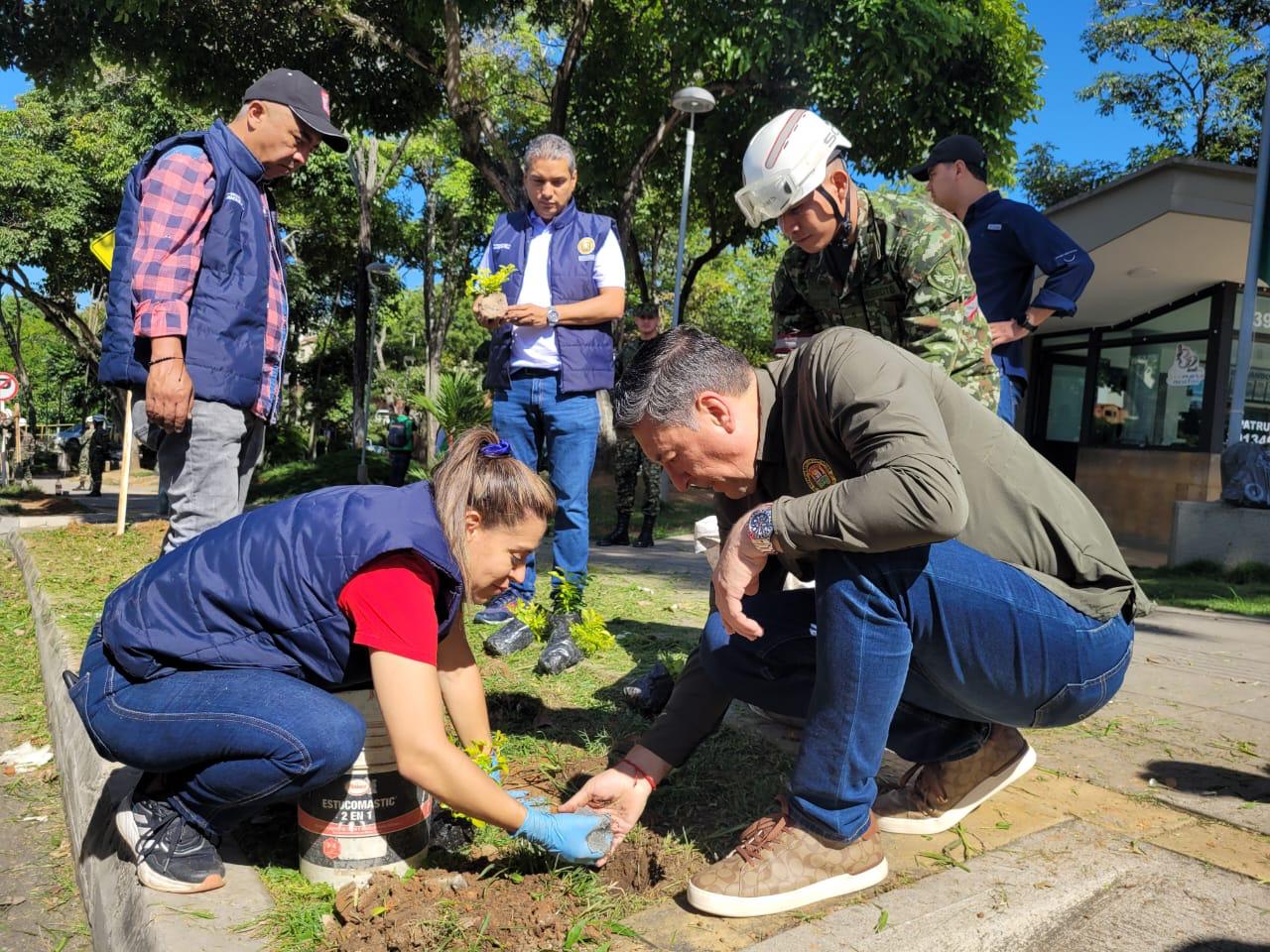 Avanza la reforestación: 3.675 árboles sembrados en Santander