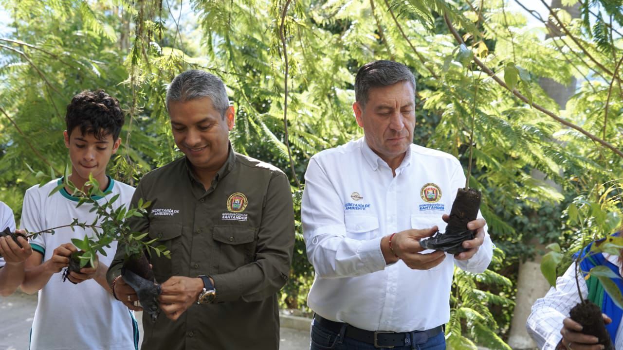 Gobernación promueve la donación y siembra de árboles con la campaña “Reverdece Santander: Árboles para el Futuro”