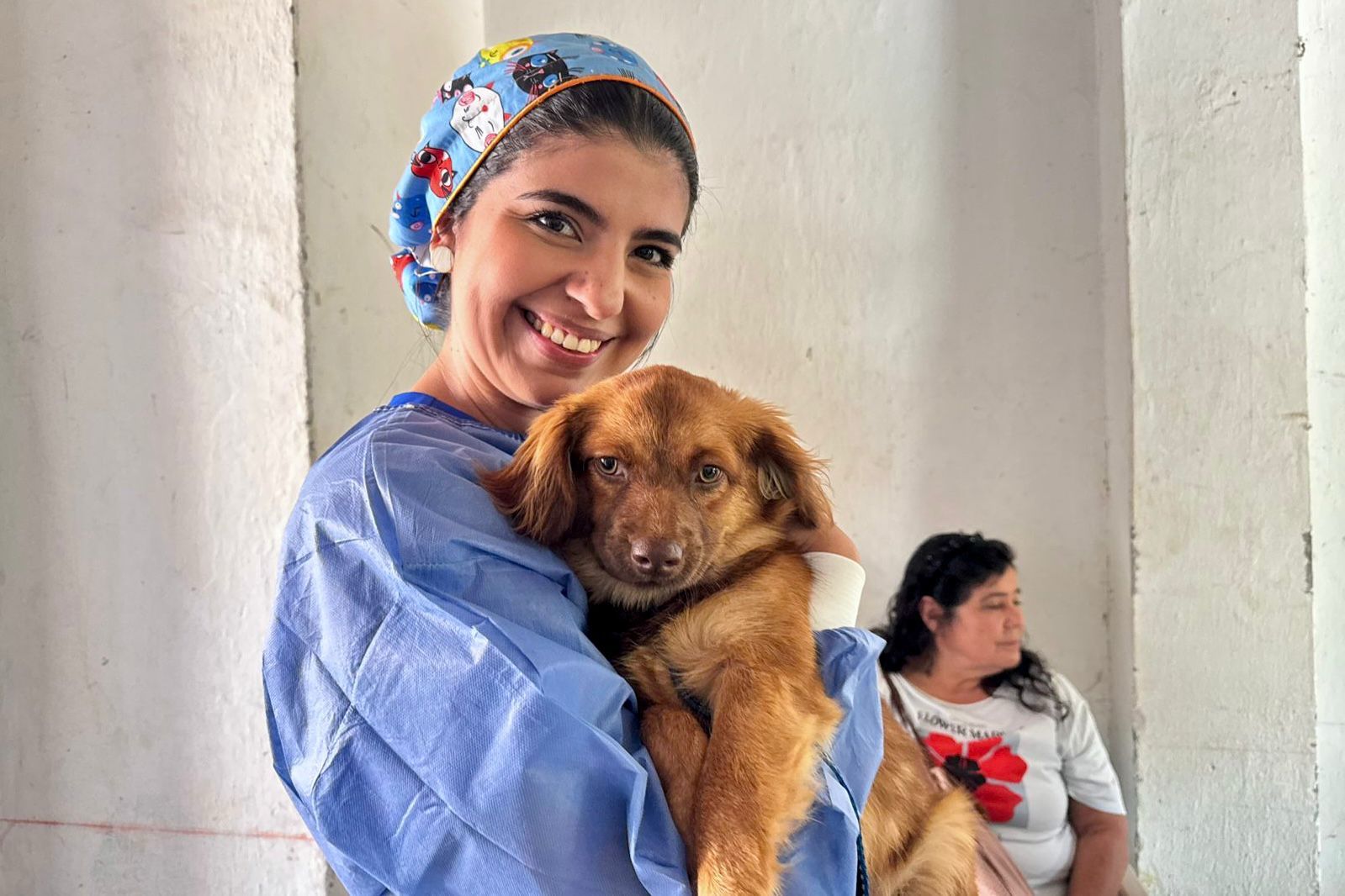 Gobernación avanza con el Programa de Bienestar Animal, beneficiando a más de 6.600 caninos, felinos y equinos