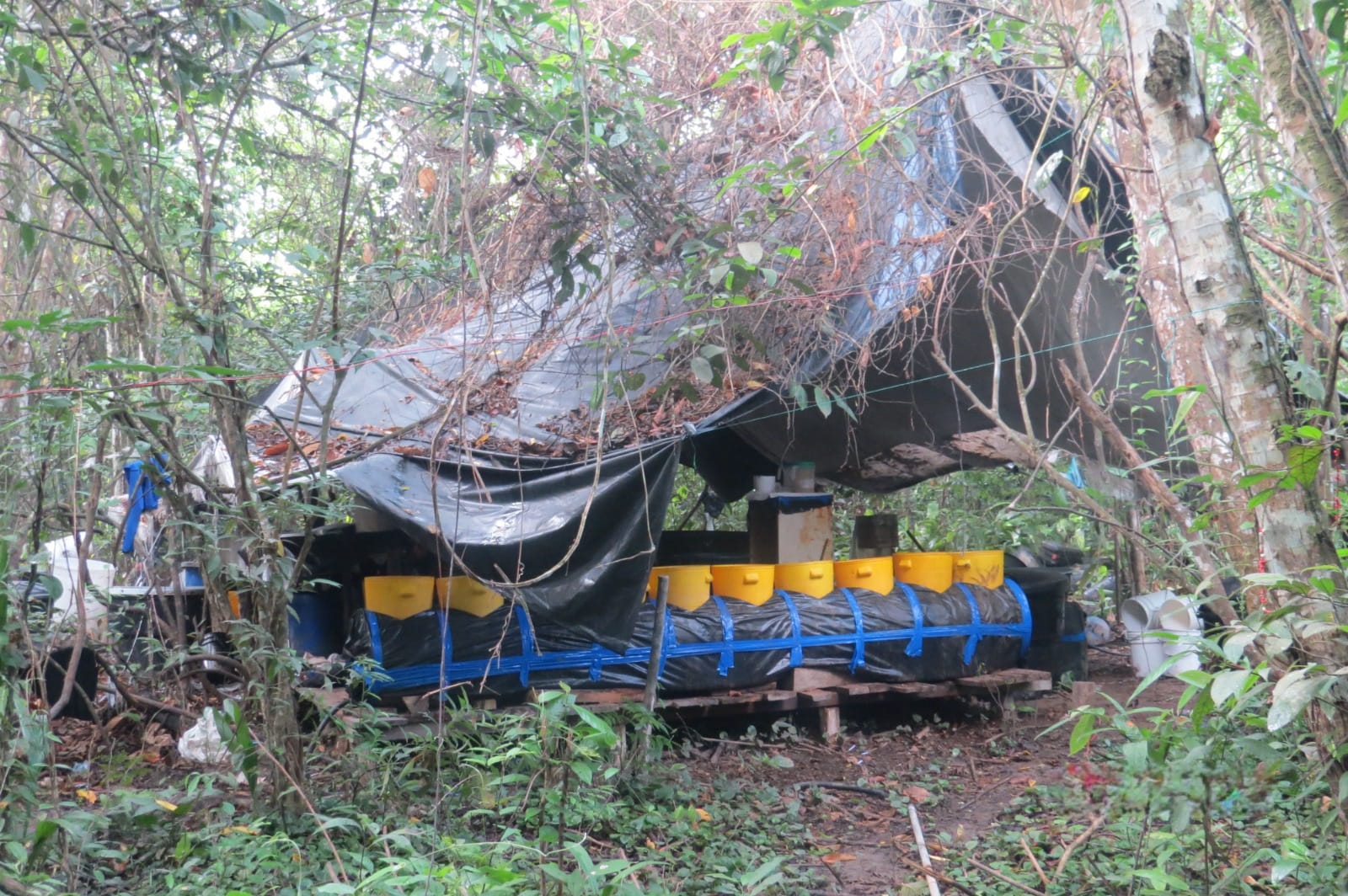 Ejército Nacional golpea logra la destrucción de un megalaboratorio de cocaína en Norte de Santander