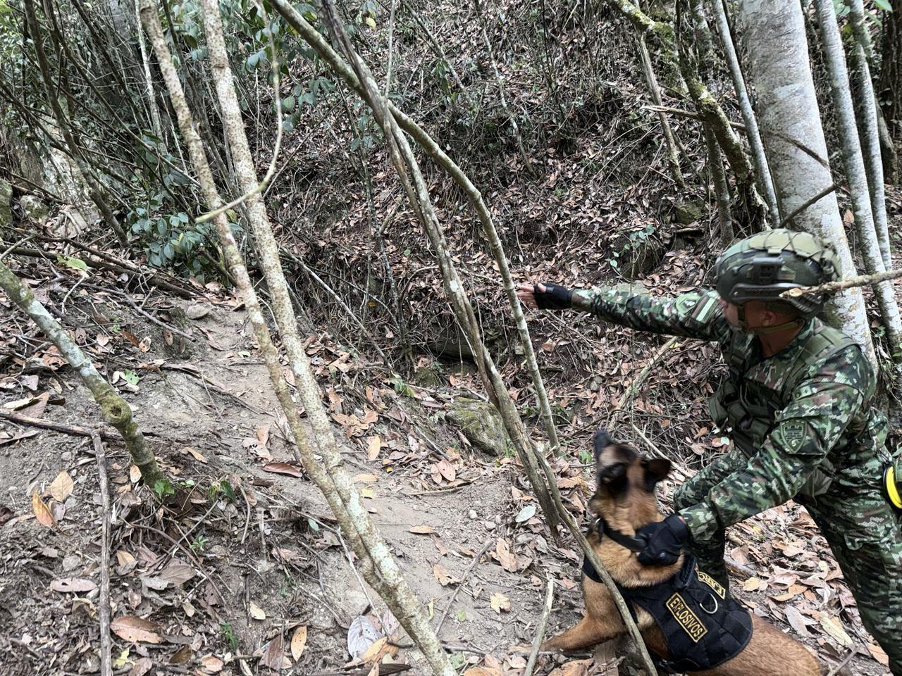 Ejército Nacional neutraliza posible acción terrorista del GAO ELN, tras la ubicación de 250 kilogramos de explosivo R1 en Charta, Santander