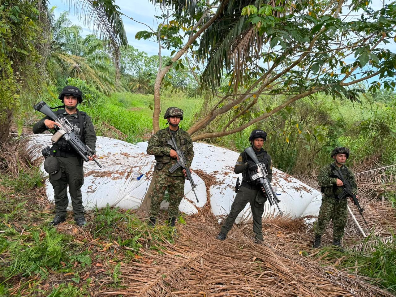 Ejército Nacional afecta las economías ilícitas del GAO Clan del Golfo en Santander