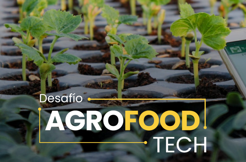  Desafío AgroFoodTech de CIVLAC: Una nueva instancia de innovación abierta entre startups y grandes compañías